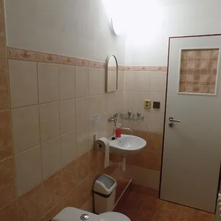 Guest house Ferencikova 2*